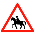 Horseback riding crossing