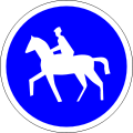 Path required for pedestrians