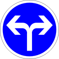 Straight or left turn required at the next intersection